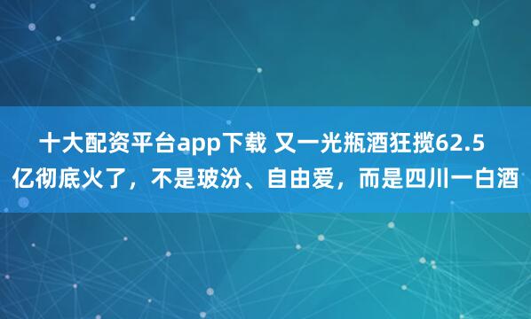 十大配资平台app下载 又一光瓶酒狂揽62.5 亿彻底火了,不是玻汾、自由爱,而是四川一白酒