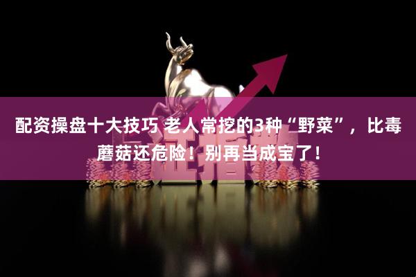 配资操盘十大技巧 老人常挖的3种“野菜”，比毒蘑菇还危险！别再当成宝了！