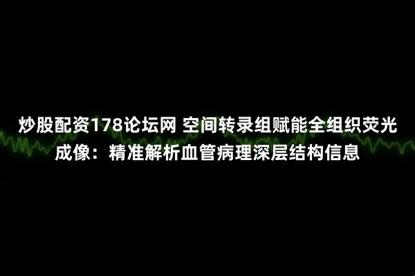 炒股配资178论坛网 空间转录组赋能全组织荧光成像：精准解析血管病理深层结构信息